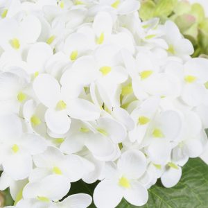 small Hydrangea Bouquet