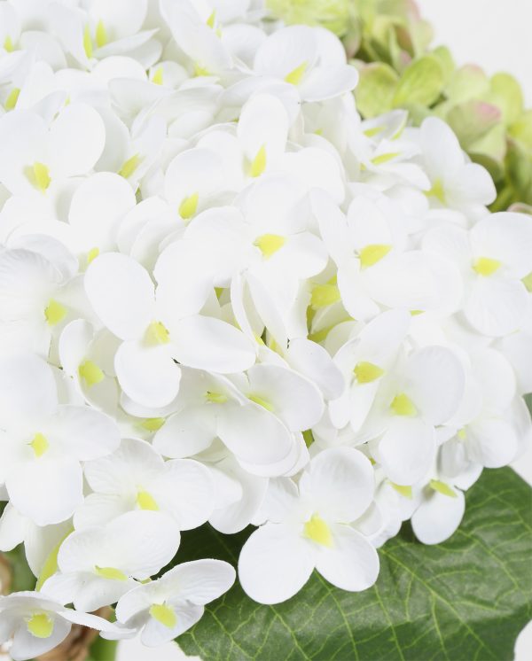 small Hydrangea Bouquet