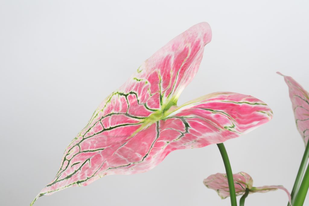 Artificial Caladium Bicolor