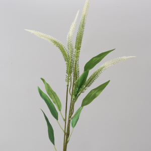 Green Mini Amaranthus