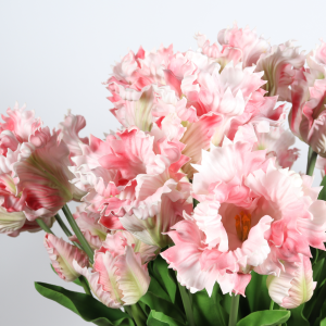 79 cm Artificial Pink Tulip Bouquet with 36 Stems in Glass Vase