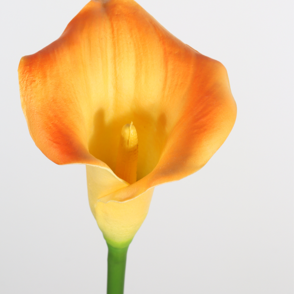 31 Inch Artificial Calla Lily Orange