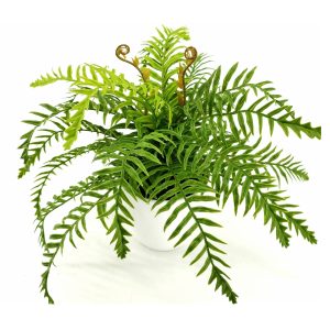 35cm Fern Plant