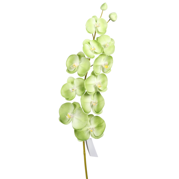 104 Cm Artificial Green Orchid Stem