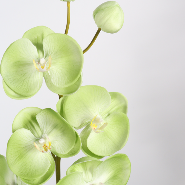 104 Cm Artificial Green Orchid Stem