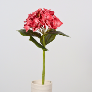 red hydrangea stem