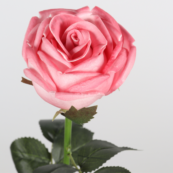 81 cm Artificial Pink Rose Stem